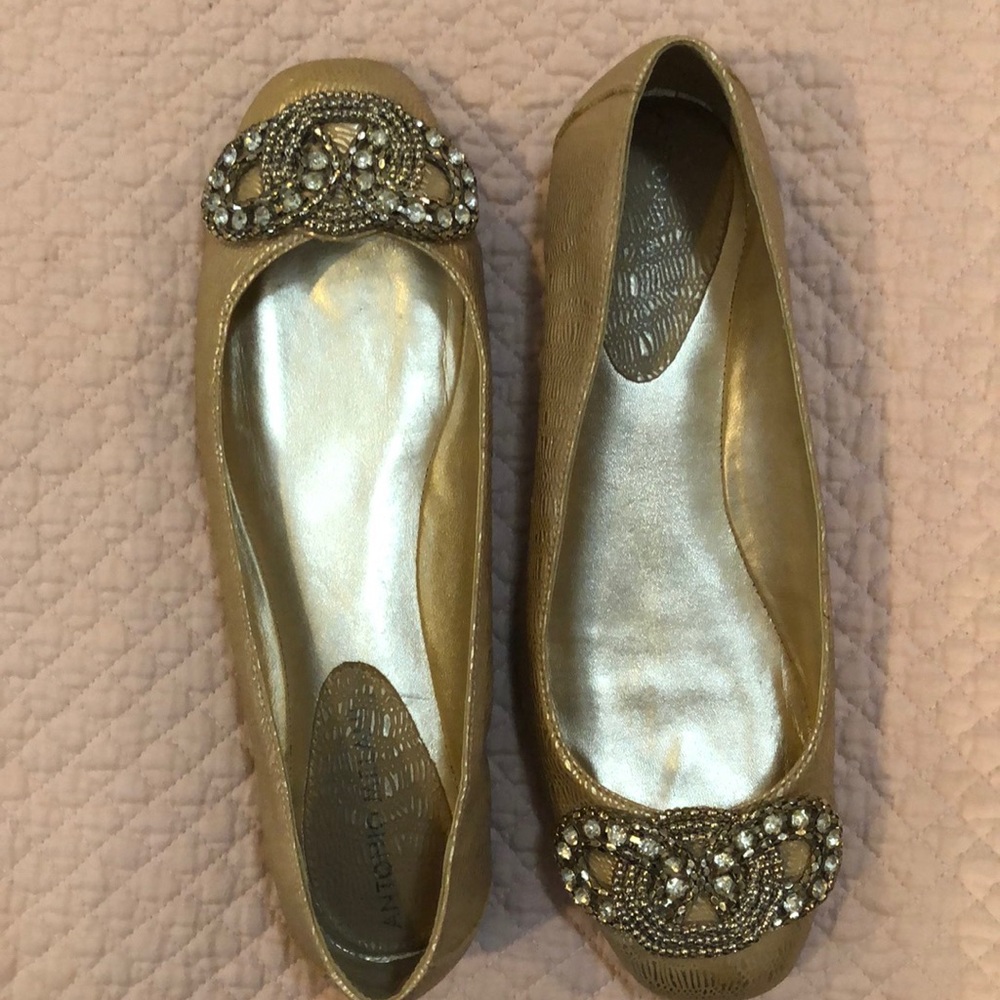 Golden flats with stones